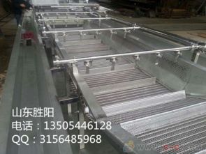 山東果蔬類氣泡清洗機(jī)生產(chǎn)廠家圖片與價格指南